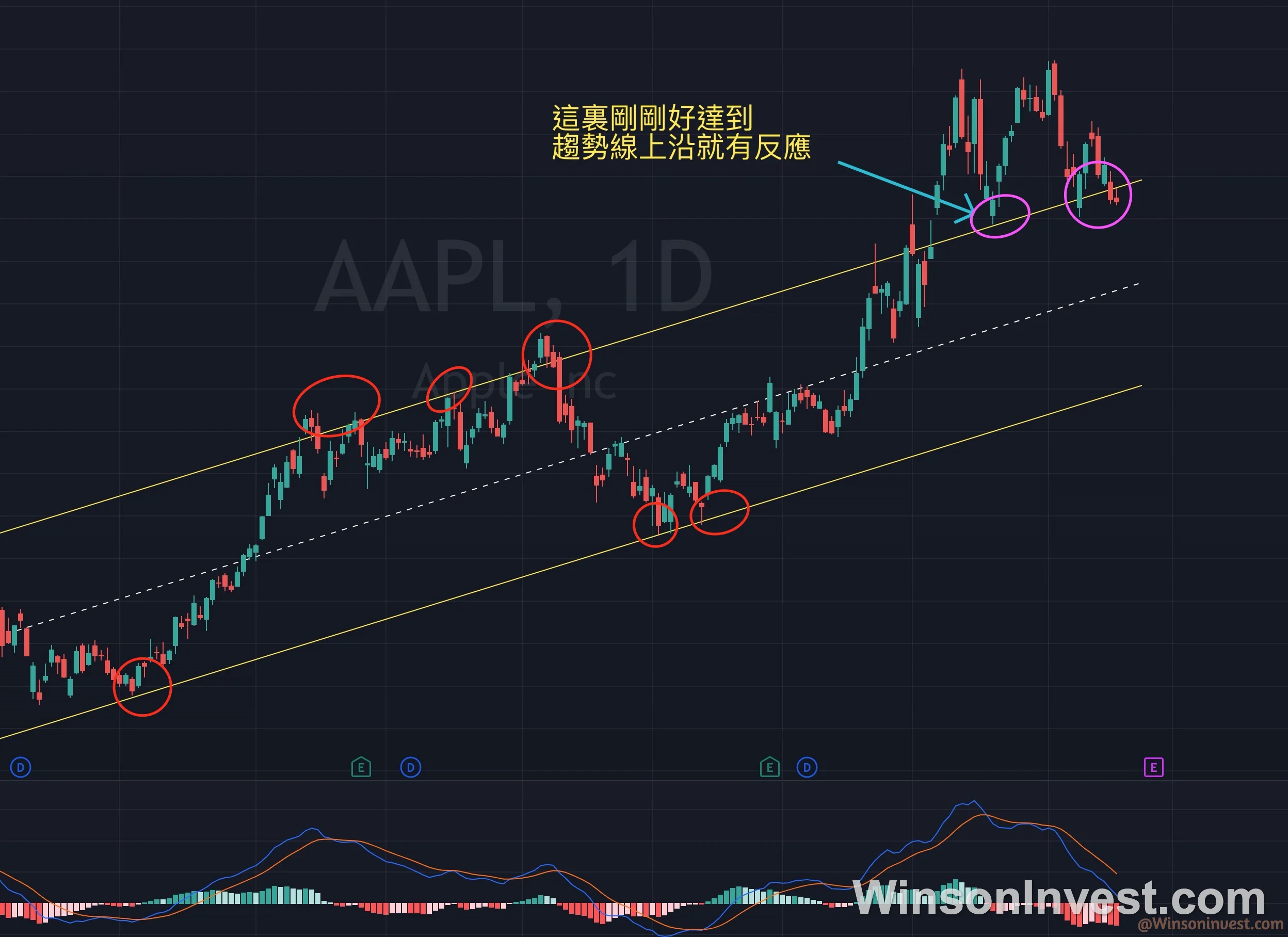 AAPL 蘋果 趨勢突破與回踩